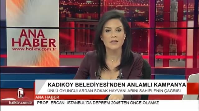 Halktv-Satın Alma Sahiplen