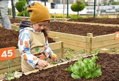 Kadıköy Bostanları'nda Kış Dönemi Başvuruları Başladı